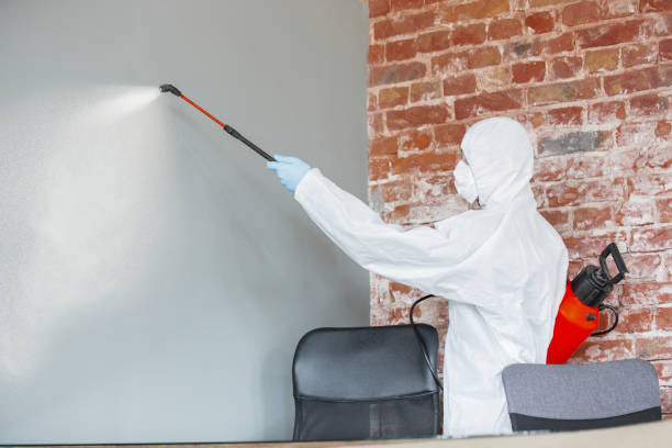 Best Mold Removal for HVAC Installations  in Pearl City, HI