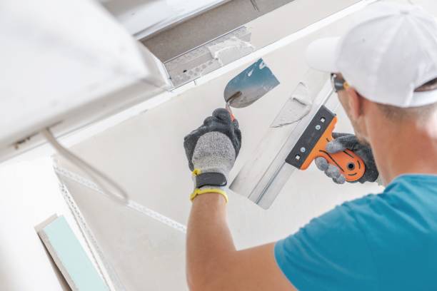  Pearl City, HI Mold Removal Pros